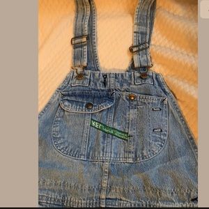 rialto jean project floral painted overalls
